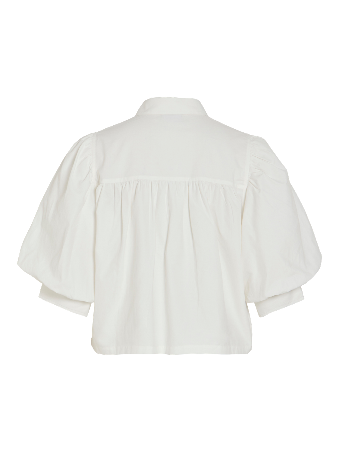 pack_shot-back
